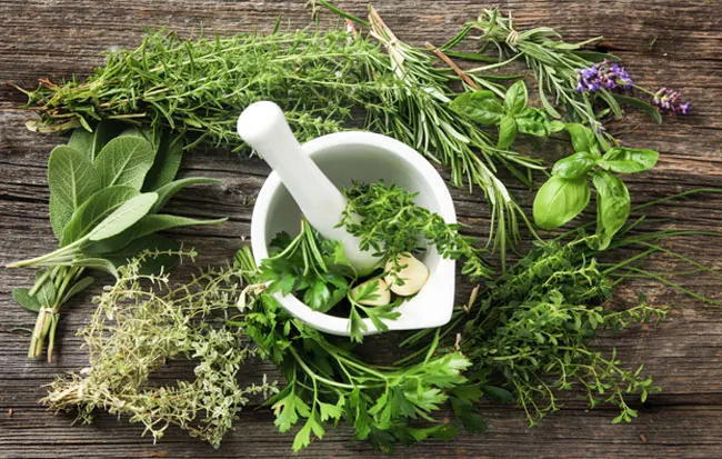 
Les Herbes et Aromates Bio
