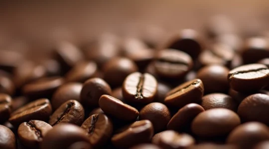 Grains de café de qualité